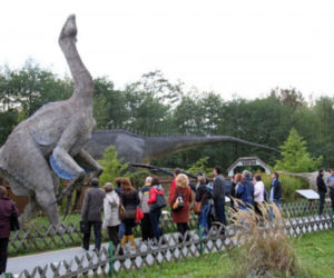 Jura Park w Bałtowie