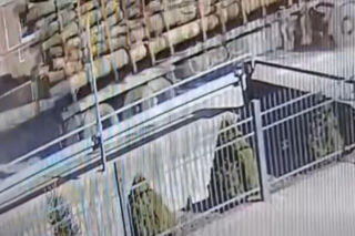 Sceny jak z Oszukać przeznaczenie pod szkołą! Kłoda drewna spadła tuż przy wejściu