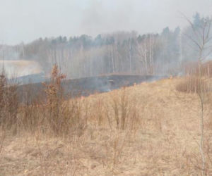 Pożar lasu pod Olsztynem. Gdyby nie szybka reakcja ratownicza, straty byłyby ogromne [FOTO]