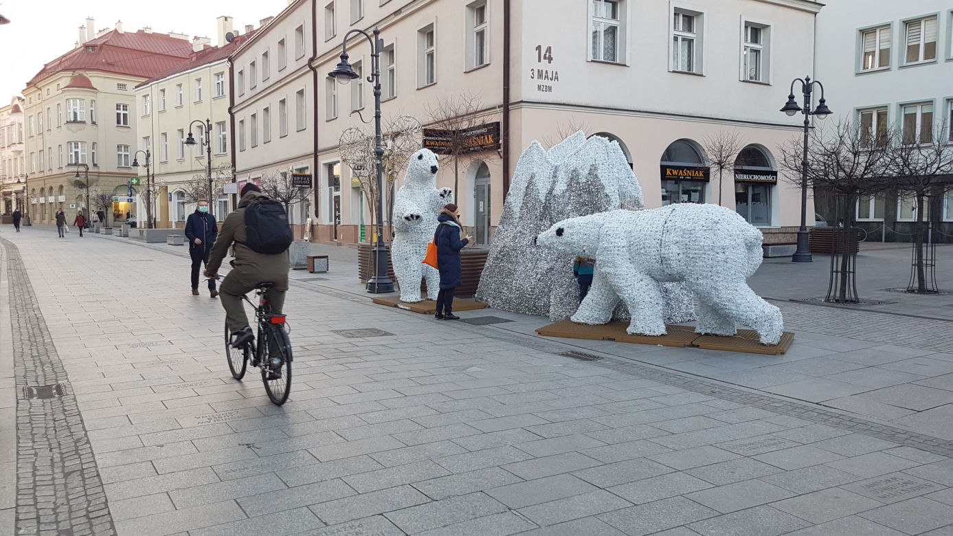 Białe misie na 3 Maja w Rzeszowie