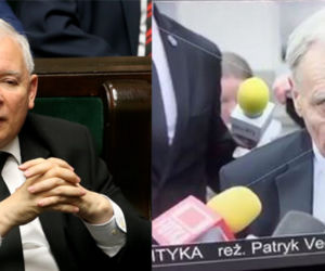 Polityka film Vegi kto gra kogo