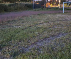 Bączki Wejherowo