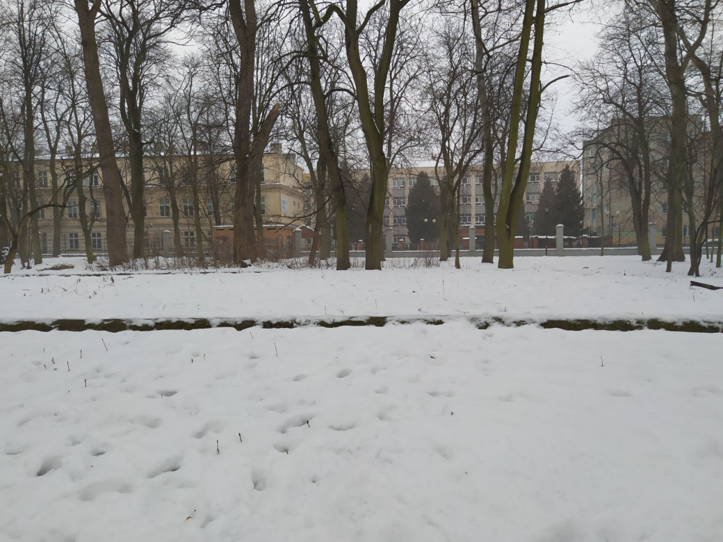 Gdzie mieścił się kiedyś letni teatr? Siedlecki park Aleksandria sto lat temu i w pierwszym tygodniu stycznia 2021: