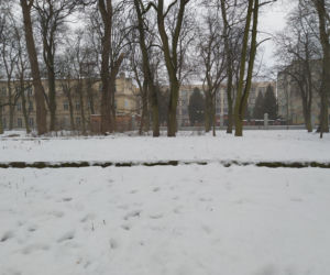 Gdzie mieścił się kiedyś letni teatr? Siedlecki park Aleksandria sto lat temu i w pierwszym tygodniu stycznia 2021: