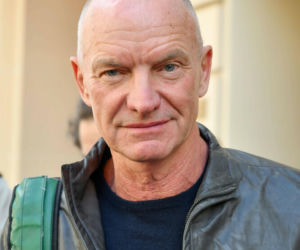 Sting bez miodu nie wystąpi