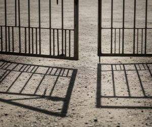 Schronisko w Sobolewie zamknięte. Co ujawnił Donald Tusk?