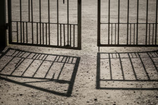 Schronisko w Sobolewie zamknięte. Co ujawnił Donald Tusk?