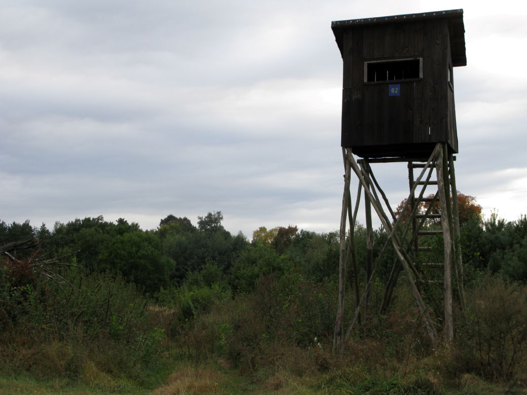 Przeżył atak terrorystów, zginął na polowaniu