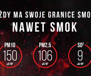  Smok w centrum Warszawy! Czego może nas nauczyć?