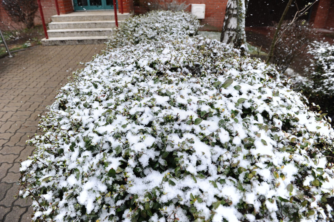 Śnieżyca nad Warszawą. Kiedy przestanie padać?