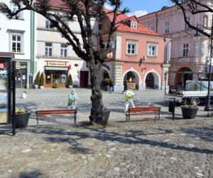 W Przemyślu odkażają Szwejka i niedźwiedzia