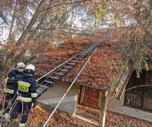 15-metrowe drzewo runęło na dom! Ogromne zagrożenie: „trzeba było ucinać konar po kawałku”  