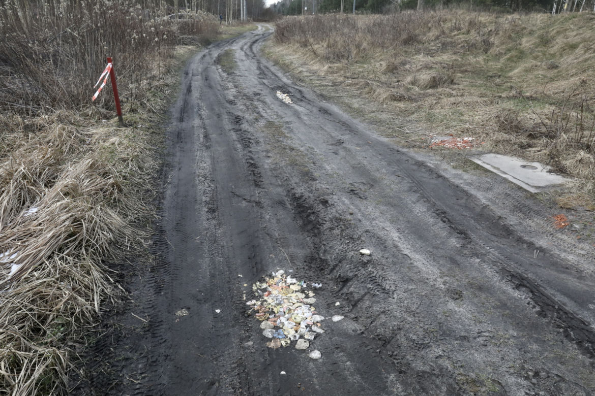 Nie uwierzycie czym zasypali dziury w drodze! Zamiast drogowców na ulice wyjechali dentyści