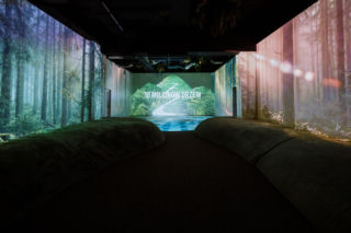 Wystawa Żywiec Zdrój 10 milionów drzew