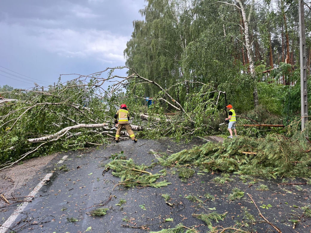 Pożary, połamane drzewa  i zalane posesje. To był pracowita noc strażaków z woj. lubelskiego