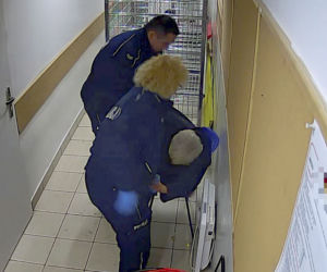 POBICIE STARUSZKI PRZEZ POLICJĘ