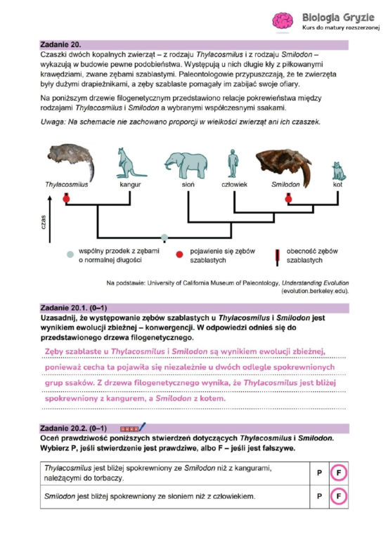 Odpowiedzi do arkusza maturalnego CKE - biologia rozszerzona 2026