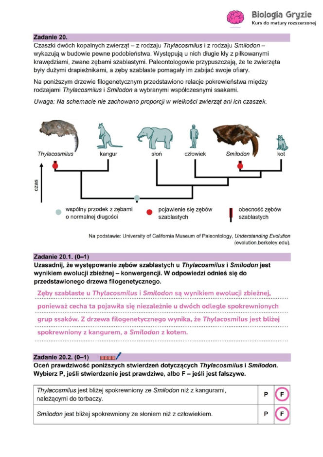 Odpowiedzi do arkusza maturalnego CKE - biologia rozszerzona 2026