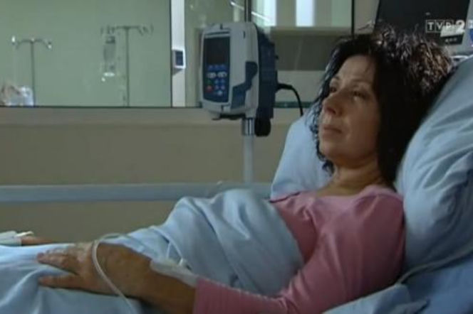 M jak MIŁOŚĆ odc. 970. Wanda Budzyńska (Maria Rybarczyk)