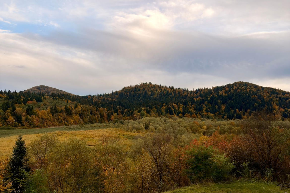 Wysychające Jezioro Solińskie