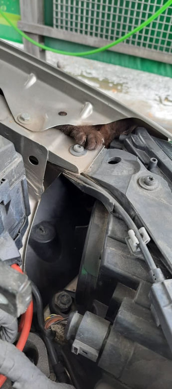 Łódź: pojechał umyć auto, okazało się, że trzeba je rozebrać. Liczyła się każda minuta!