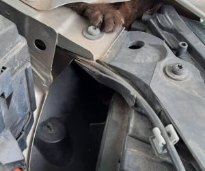Łódź: pojechał umyć auto, okazało się, że trzeba je rozebrać. Liczyła się każda minuta!