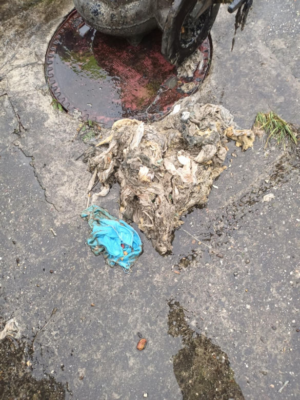 Pokazali, co wrocławianie wrzucają do toalet. Do kanalizy lądują nawet kury