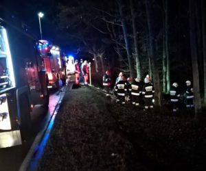 BMW rozbiło się na drzewie