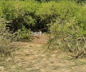 Transport Bartosza G. do kraju. Podejrzany o zabójstwo Mai z Mławy wraca do Polski