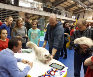Piękne mruczki z rodowodem odwiedziły Gdańsk!