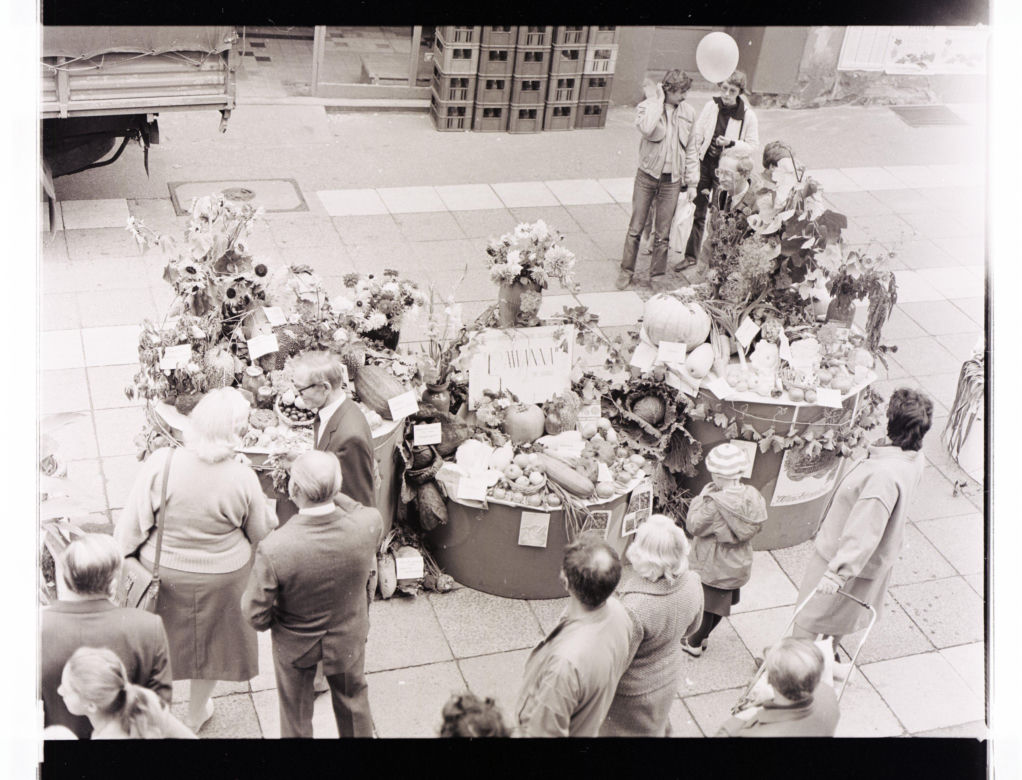 Winobranie w Zielonej Górze w latach 1963-1973. Oto jak bawiono się podczas największego Święta Wina w Polsce