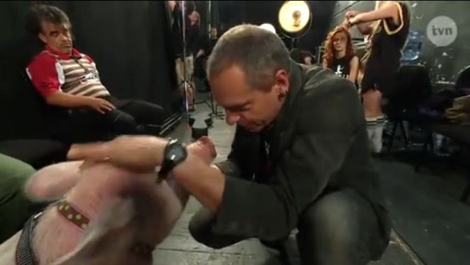 Mam talent 7, odcinek 4. Świnia zrobiła kupę na scenie!