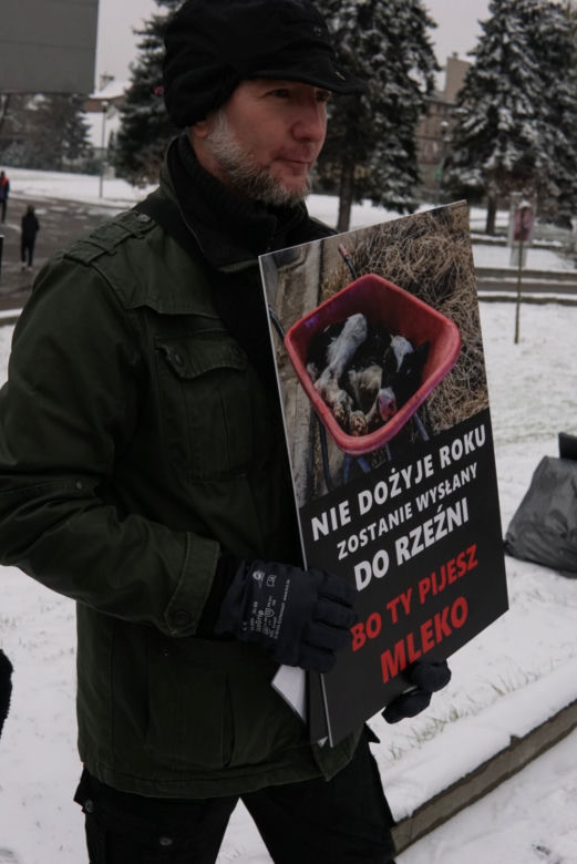 W Grudziądzu manifestowali aktywiści na rzecz zwierząt