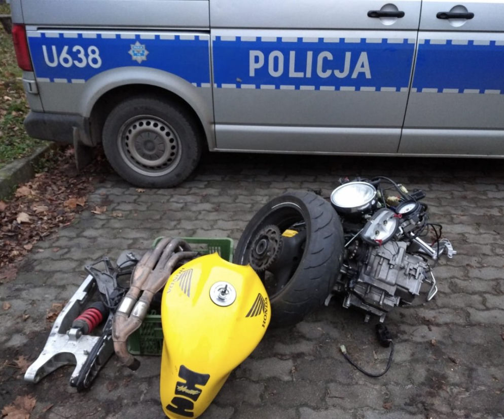 policja