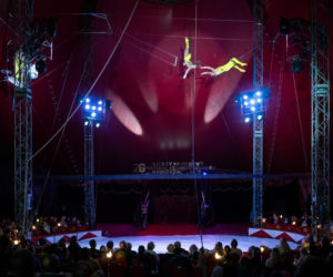 Festiwal w Cyrku Zalewski 2026. Oto zwycięzcy
