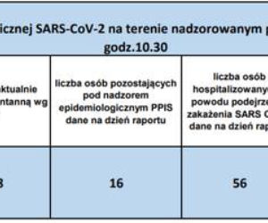 Koronawirus w województwie śląskim. 4 listopada aż 2165 nowych zakażeń. W których miastach najwięcej?