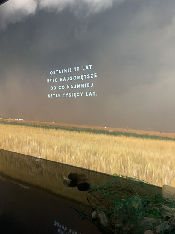 Niezwykła wystawa ekologiczna w Norblinie. Posadzą las w zamian za jej ślad węglowy