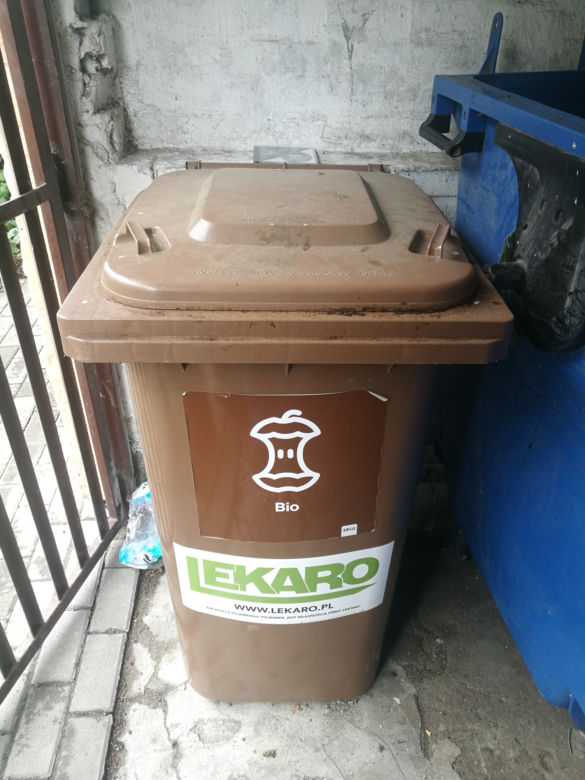 W śmietnikach lęgnie się robactwo