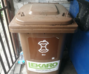 W śmietnikach lęgnie się robactwo