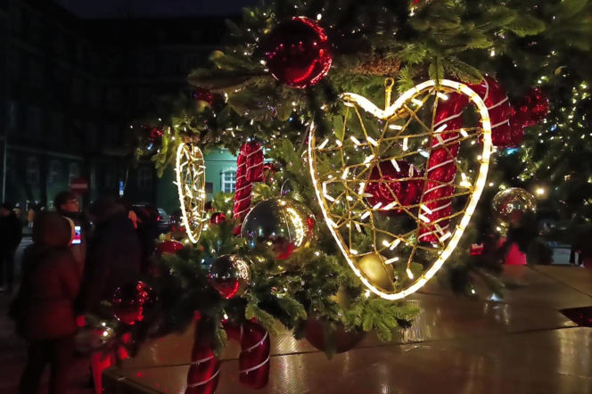 Choinka przed urzędem miasta w Szczecinie