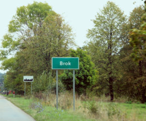 Brok