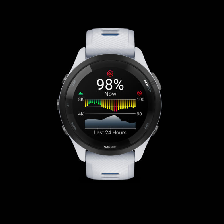 Garmin 265
