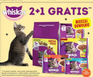 Szalone promocje na Dzień Kota w Biedronce