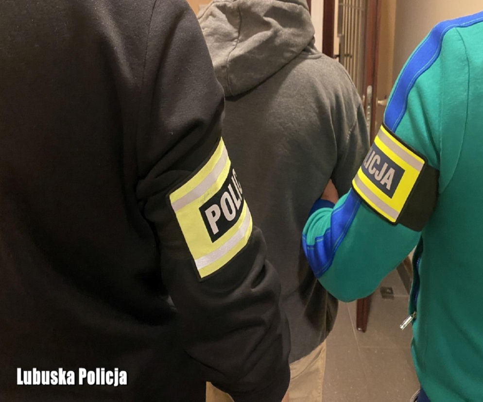 Jeździli cudzymi autami i kradli palety. Grozi im sporo lat za kratami