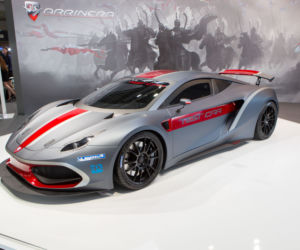 Arrinera Hussarya