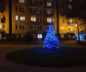 Katowice: Spółdzielnia wycięła im jedyną choinkę na osiedlu. Sami kupili nową jodłę