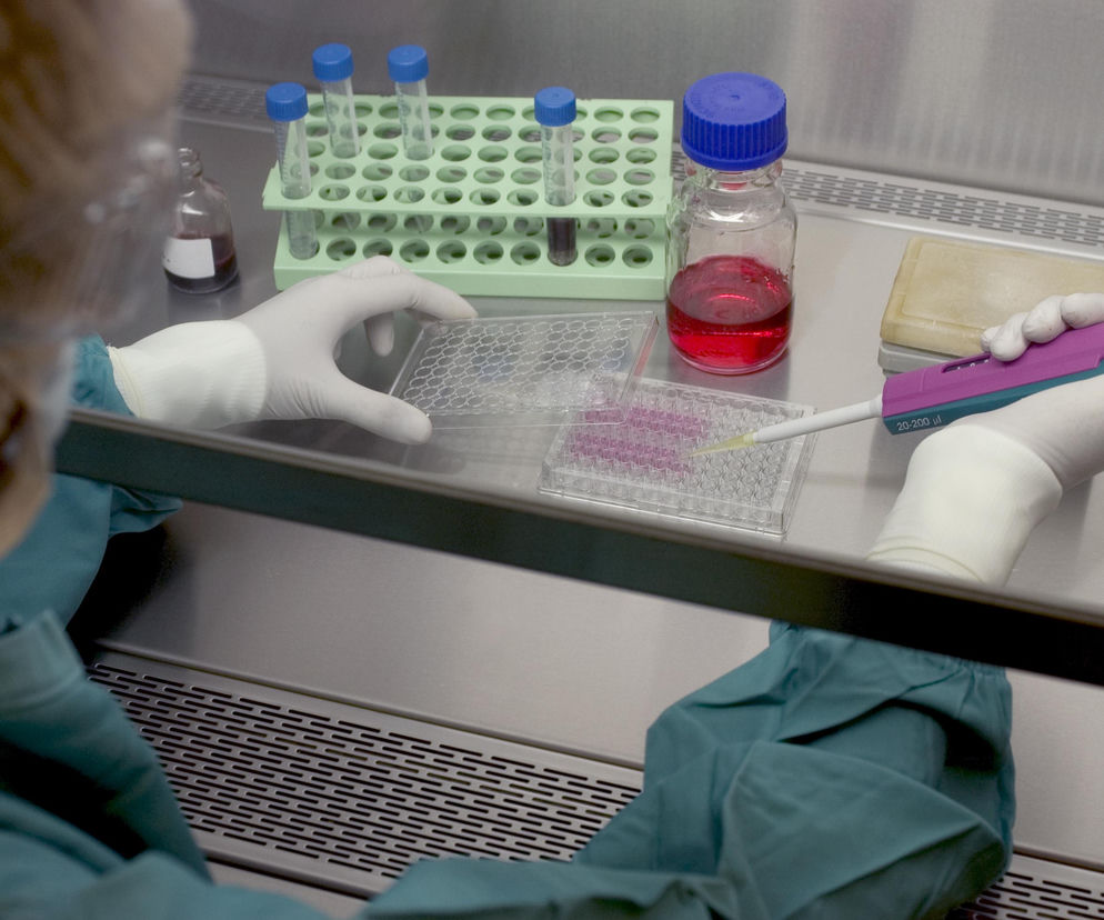 Pracownik laboratorium w białych rękawiczkach, ubrany w zielony kitel ochronny, precyzyjnie wykonuje pomiary w laboratorium, używając pipety do przenoszenia płynów do płytek z próbkami. Widoczne są probówki w stojaku i butelki z różowymi płynami, podkreślające zaawansowane badania nad CAR-T, o których możesz przeczytać na portalu Poradnik Zdrowie.