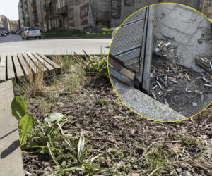 Ulica Daszyńskiego we Wrocławiu