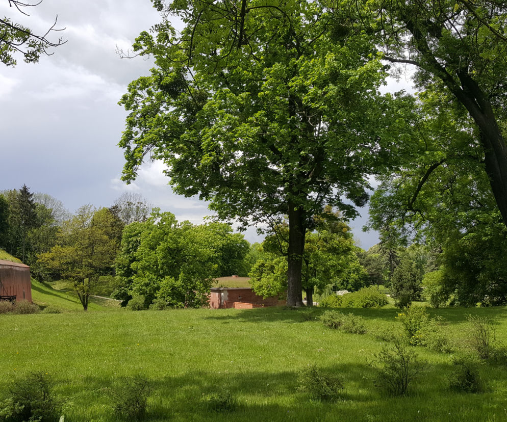 kojec park miejski