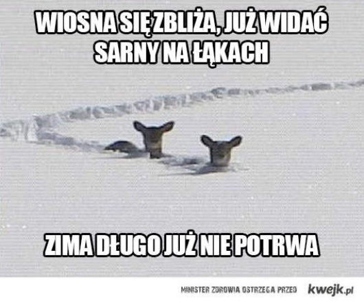 Równonoc wiosenna. Śmieszne obrazki na śnieżną wiosnę